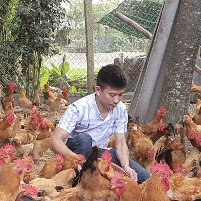 Gà Thịt Nguyễn Thành Được