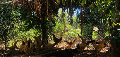 Ẩm thực Hằng Nga Cùa