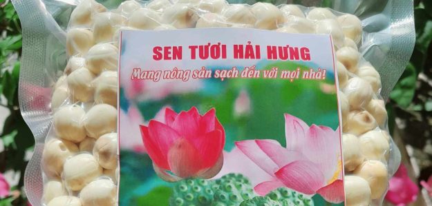 Sen tươi Hải Hưng